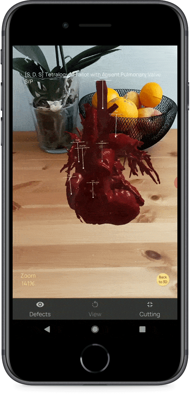 Gif1 Funzionamento app modello 3d su superficie piana