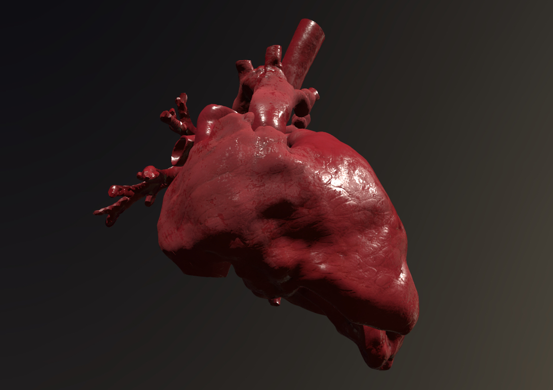 Modello 3D del cuore che abbiamo usato per la formazione in realtà aumentata