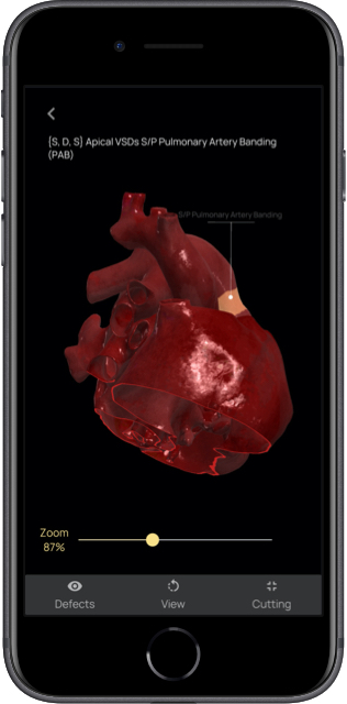 Zoom app modello 3D del cuore Zoom app modello 3D del cuore