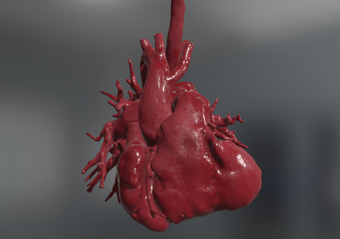 Modello cuore 3D su sfondo grigio Modello cuore 3D su sfondo grigio