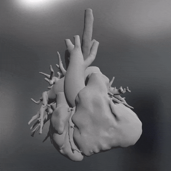 Mappa shader del cuore 3D Mappa shader del cuore 3D