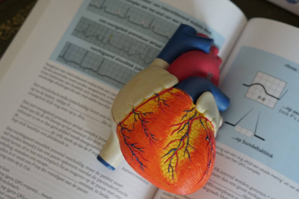Cover del progetto per la formazione in realtà aumentata: Plastico 3D di un cuore e libro di medicina