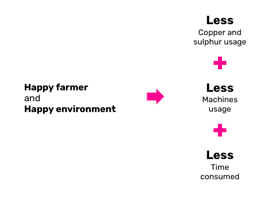 La ricetta per ambiente e viticoltori più felici: Computer Vision e Machine Learning per l'agricoltura