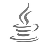 Java language for ERP software development