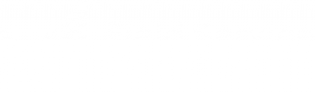 FSE logo
