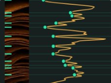 Peak detection: i picchi di intensità sui bordi degli sfogliati